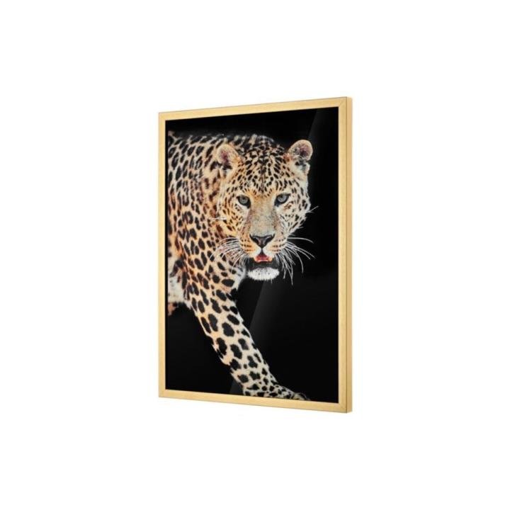 King A Cita Desenli Dikdörtgen Tablo 52 x 72 cm