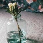 İssimo Japonesque Tncel Nevresim Takımı Çift Kişilik