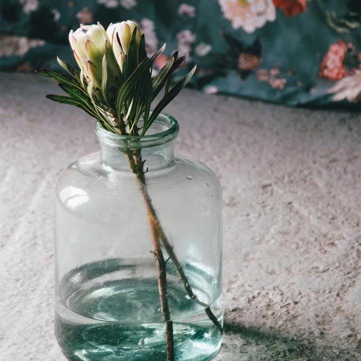 İssimo Japonesque Tncel Nevresim Takımı Çift Kişilik