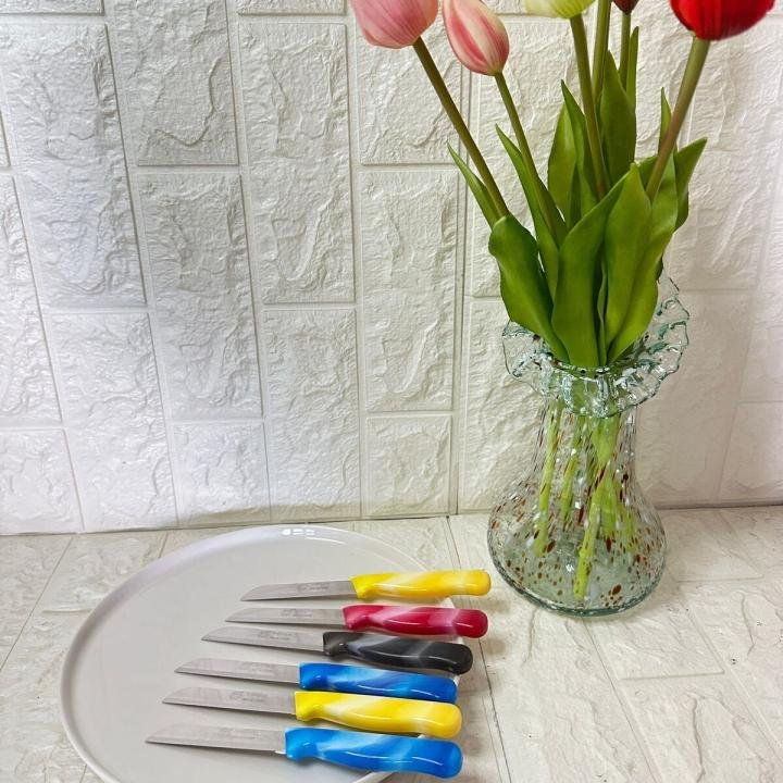 Tırtıklı Meyve ve Sebze Bıçağı 6 Adet