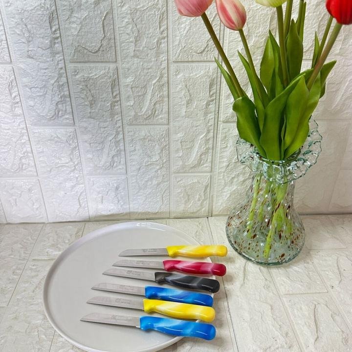 Tırtıklı Meyve ve Sebze Bıçağı 6 Adet