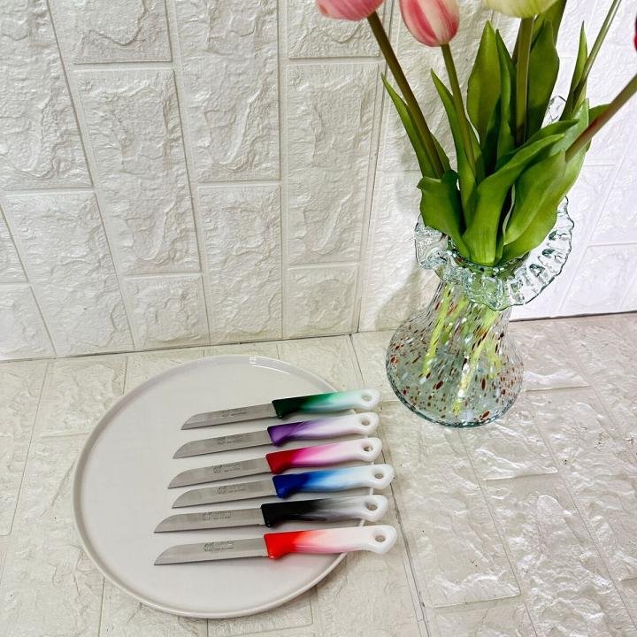 Tırtıklı Meyve ve Sebze Bıçağı 6 Adet