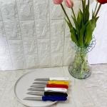 Tırtıklı Meyve ve Sebze Bıçağı 6 Adet