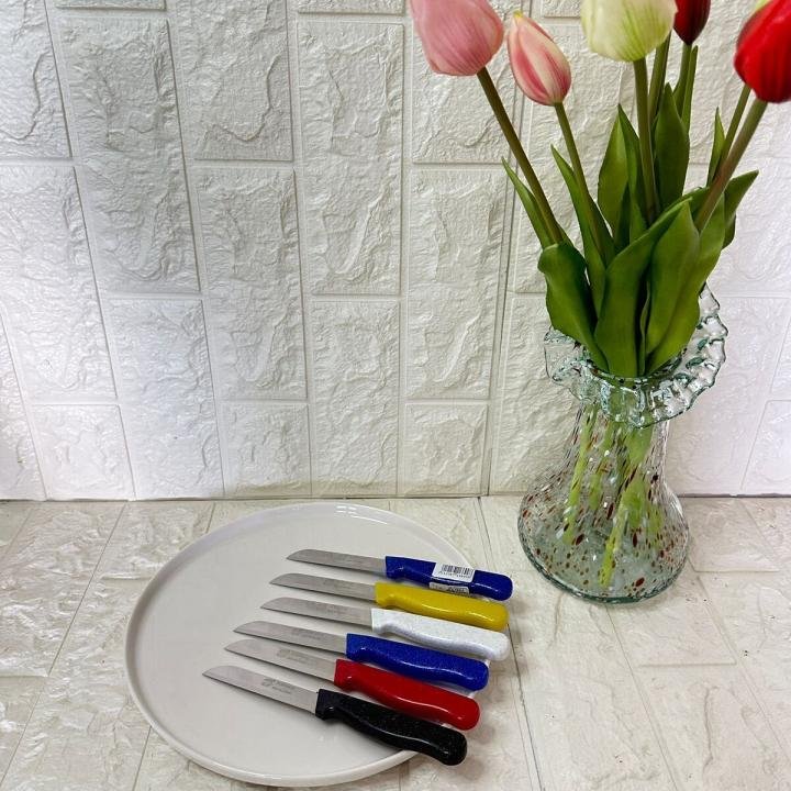 Tırtıklı Meyve ve Sebze Bıçağı 6 Adet