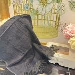 Mariva Siyah 50*90 Havlu Verse-reverse