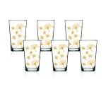 Ginkgo 6'lı Su Bardağı