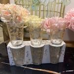 Ginkgo 6'lı Su Bardağı