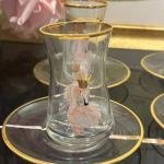 Preety 12 Parça Çay Takımı