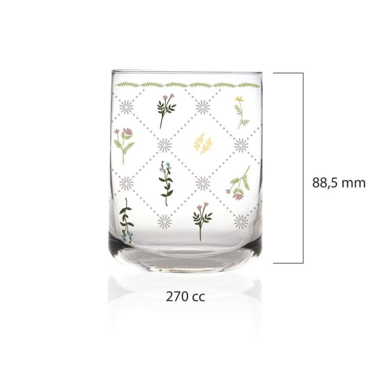 Cassidy 6'lı Su Bardağı