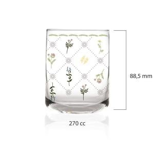 Cassidy 6'lı Su Bardağı