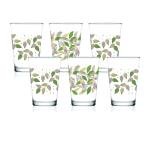 Black Leaf 6'lı Su Bardağı