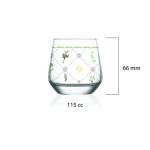 Cassidy 6'lı Kahve Yanı Su Bardağı