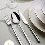 Dalyan Sade 12 Kişilik 89 Parça Kutulu Çatal Kaşık Bıçak Takımı