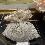 Verse&reverse Oda Kokusu