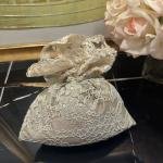 Verse&reverse Oda Kokusu