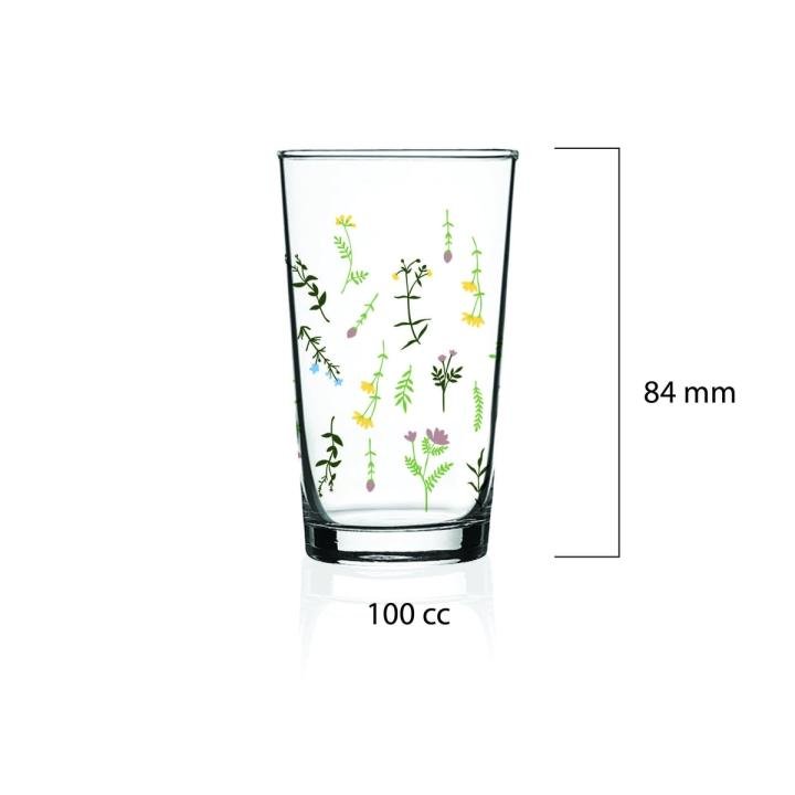 Cassidy 6'lı Kahve Yanı Su Bardağı