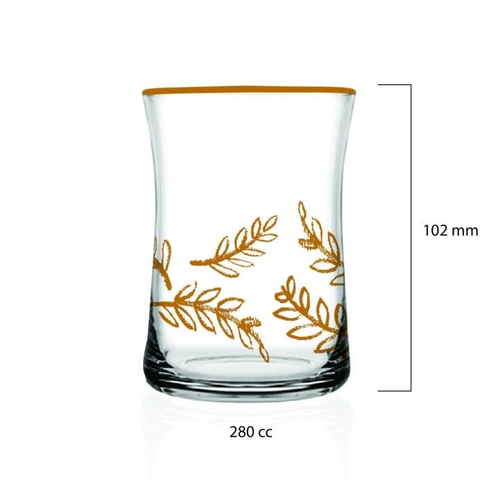 Charming 6'lı Su Bardağı