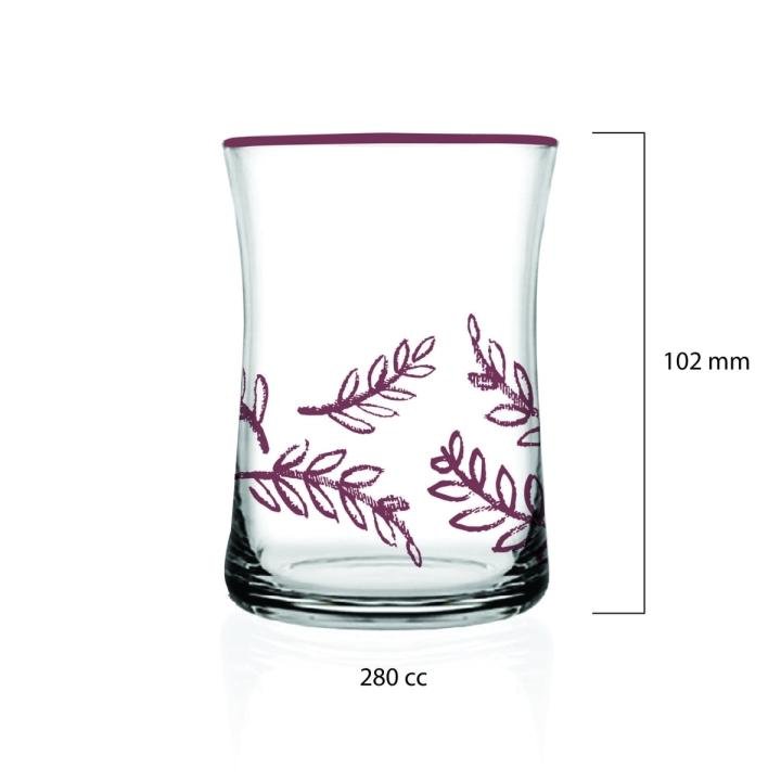 Charming 6'lı Su Bardağı